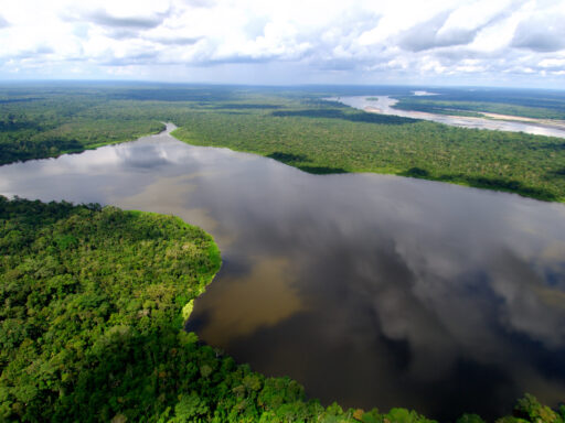 Conheça a Amazônia: Fatos Incríveis Sobre a Floresta Tropical